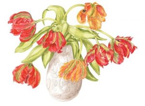 Parrot tulips in vase, Watercolour