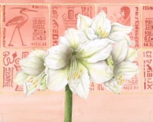 White Amaryllis, Watercolour