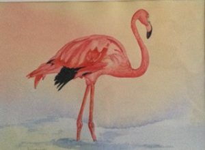 Flamingo, Watercolour