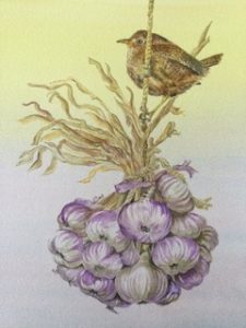 Wren and Garlic